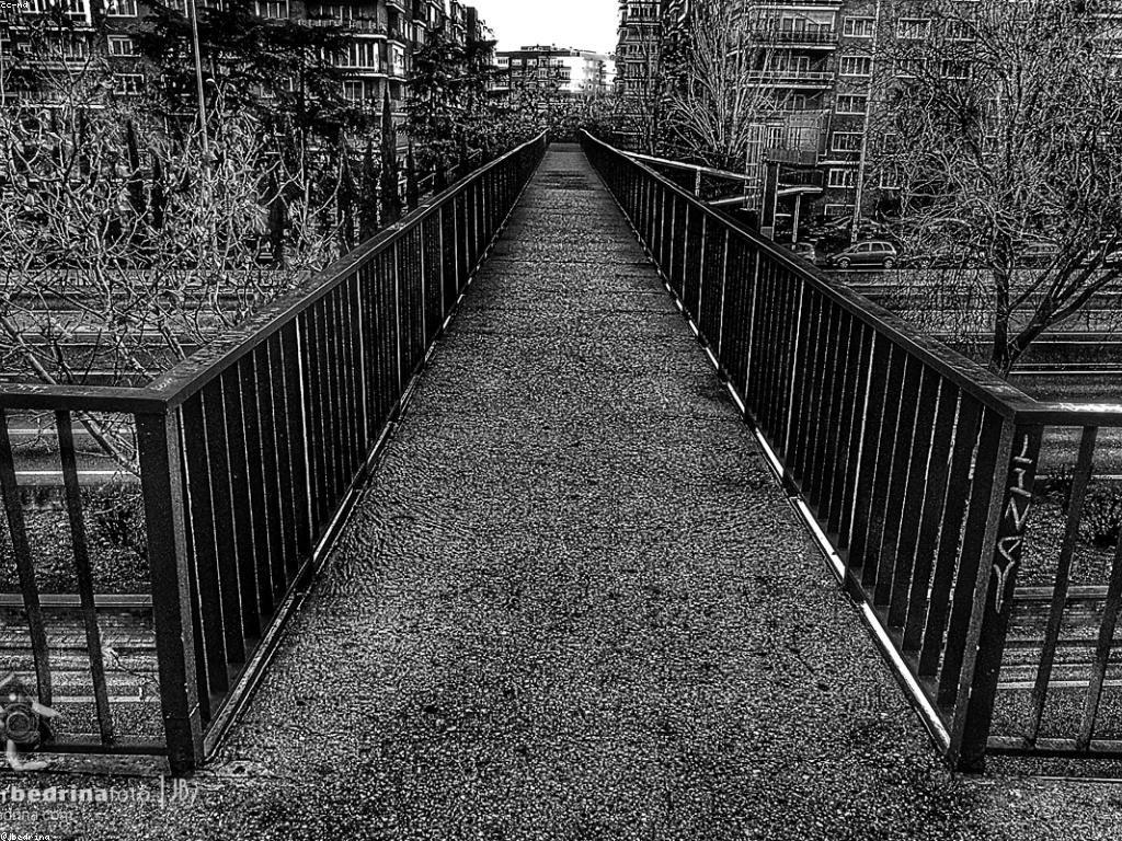 បទយកការណ៍ជោគជ័យ: ការសម្រេចគោលដៅក្នុងការអភិវឌ្ឍន៍